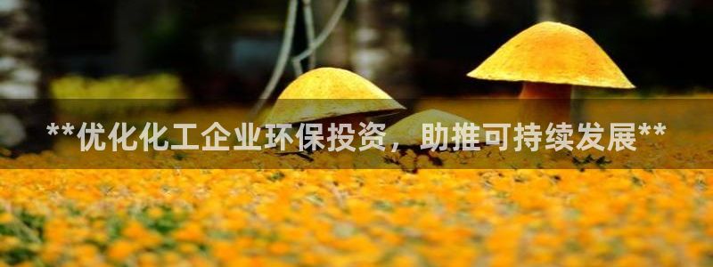 mr8001亿万先生：**优化化工企业环保投资，助推可持续发展**