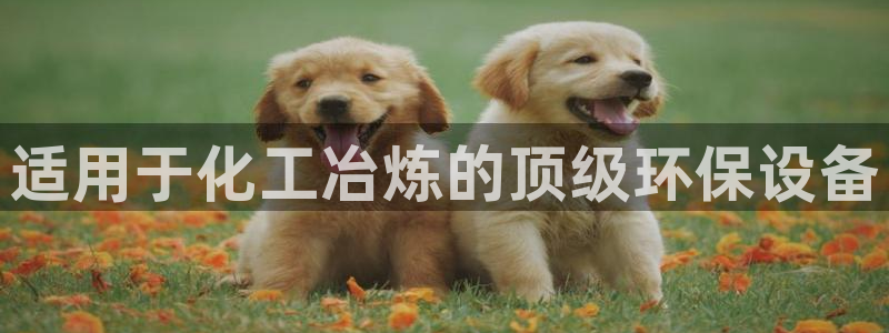 亿万先生客服：适用于化工冶炼的顶级环保设备
