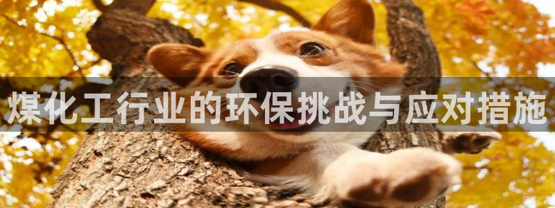 亿万先生网站：煤化工行业的环保挑战与应对措施