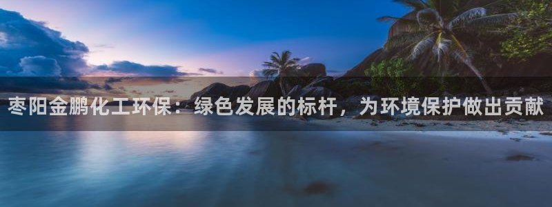 亿万笞人：枣阳金鹏化工环保：绿色发展的标杆，为环境保护做出贡献