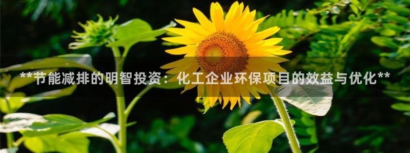 亿万先生下载网址app：**节能减排的明智投资：化工企业环保项目的效益与优化**