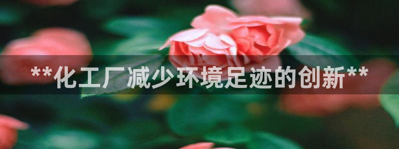 亿万先生合并网址是多少：**化工厂减少环境足迹的创新**