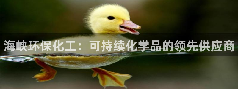 亿万先生客户端下载：海峡环保化工：可持续化学品的领先供应商