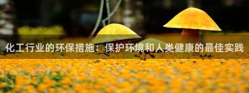亿万先生充电桩：化工行业的环保措施：保护环境和人类健康的最佳实践