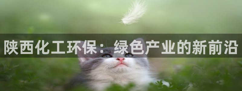亿万app下载：陕西化工环保：绿色产业的新前沿