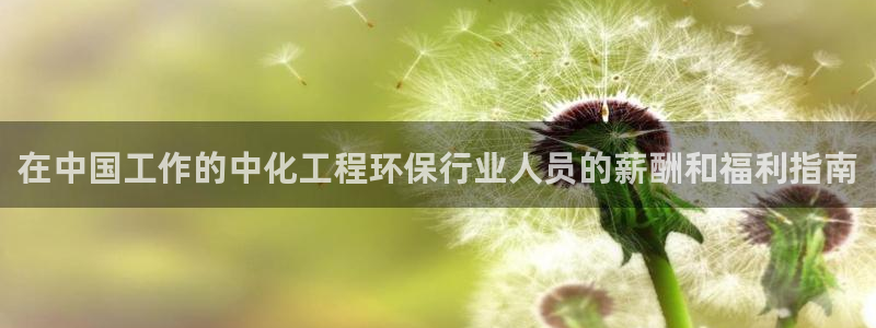 亿万万作者：在中国工作的中化工程环保行业人员的薪酬和福利指南