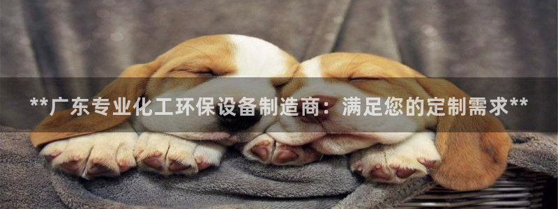 亿万千百十：**广东专业化工环保设备制造商：满足您的定制需求**
