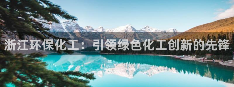 亿万先生手游下载官网：浙江环保化工：引领绿色化工创新的先锋