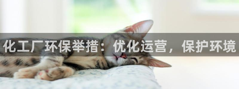 亿万番外：化工厂环保举措：优化运营，保护环境