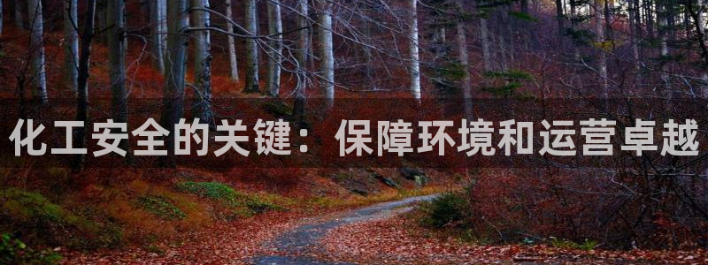 亿万第一集：化工安全的关键：保障环境和运营卓越