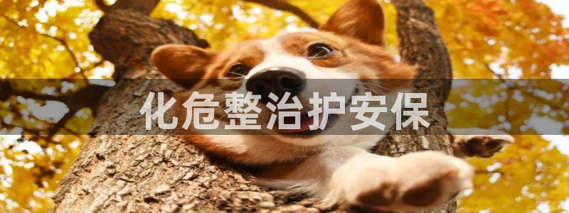 亿万先生网站：化危整治护安保