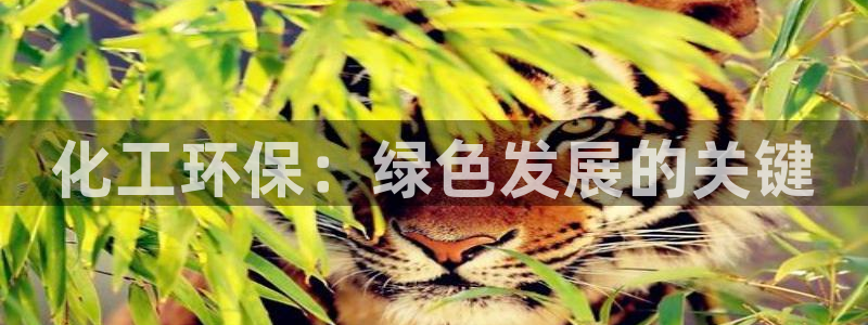 亿万先生官方网站客户端下载安装：化工环保：绿色发展的关键