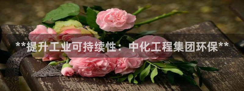 亿万先生007官网：**提升工业可持续性：中化工程集团环保**