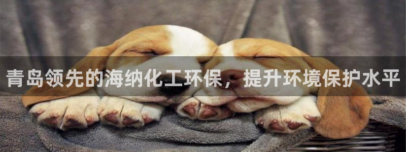 亿万啥意思：青岛领先的海纳化工环保，提升环境保护水平