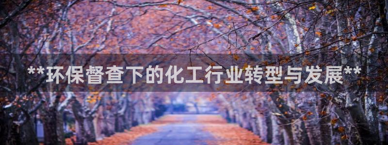 亿万先生客户端：**环保督查下的化工行业转型与发展**
