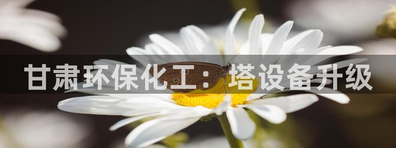 亿万app下载：甘肃环保化工：塔设备升级