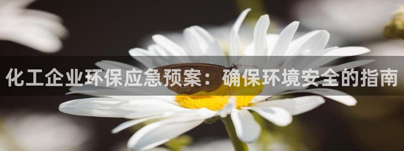 亿万先生官方网站下载：化工企业环保应急预案：确保环境安全的指南