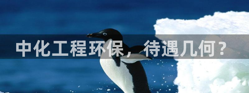 亿万网友在线实时为你解答：中化工程环保，待遇几何？
