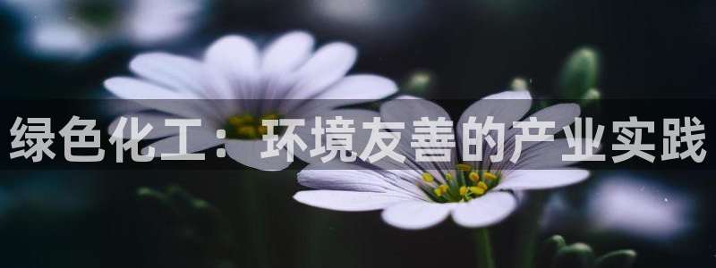 亿万先生网址生：绿色化工：环境友善的产业实践