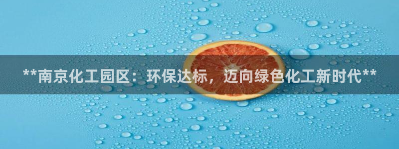 亿万官网手机登录：**南京化工园区：环保达标，迈向绿色化工新时代**