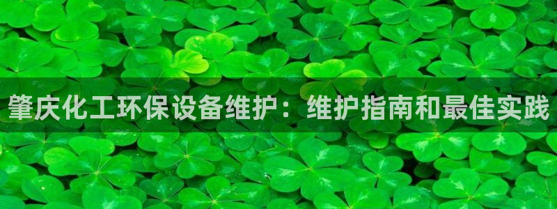 亿万先生mr07：肇庆化工环保设备维护：维护指南和最佳实践