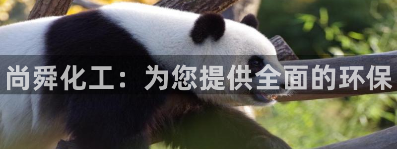 亿万先生mr014：尚舜化工：为您提供全面的环保