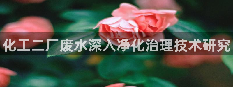 亿万先生网站下载：化工二厂废水深入净化治理技术研究