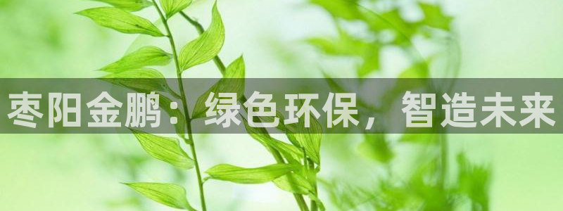 亿万先生客服联系方式是什么：枣阳金鹏：绿色环保，智造未来