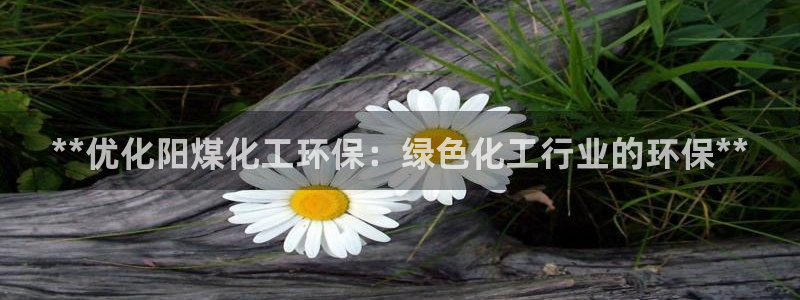 亿万官网字幕：**优化阳煤化工环保：绿色化工行业的环保**