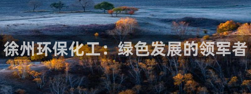 亿万先生客服联系电话：徐州环保化工：绿色发展的领军者