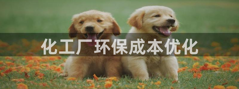 亿万钱包app下载：化工厂环保成本优化