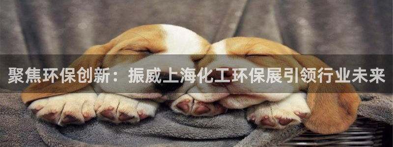 亿万国际平台是正规的吗安全吗：聚焦环保创新：振威上海化工环保展引领行业未来