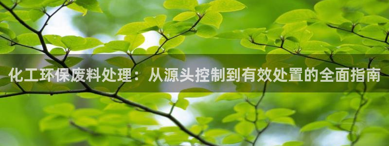亿万先生现在的网址谁知道是真的：化工环保废料处理：从源头控制到有效处置的全面指南
