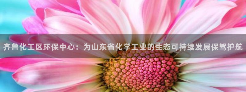 亿万先生下载客户端：齐鲁化工区环保中心：为山东省化学工业的生态可持续发展保驾护航