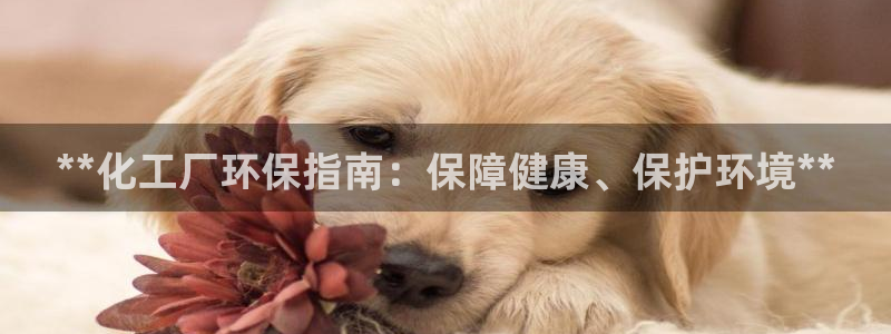 亿万先生官方客服