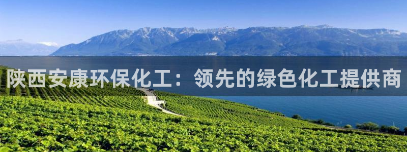 亿万先生情侣车有什么用：陕西安康环保化工：领先的绿色化工提供商