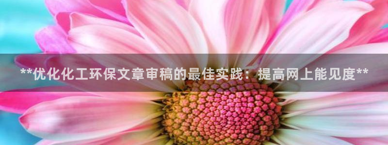 亿万手游平台官网：**优化化工环保文章审稿的最佳实践：提高网上能见度**