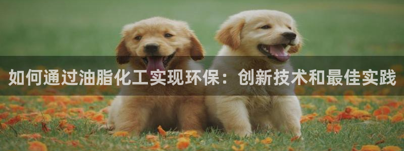 亿万客户端：如何通过油脂化工实现环保：创新技术和最佳实践