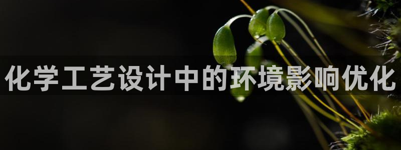 亿万先生mr01官网 - 亿万先生手机版入：化学工艺设计中的环境影响优化