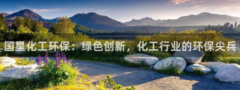 亿万先生手游下载：国星化工环保：绿色创新，化工行业的环保尖兵