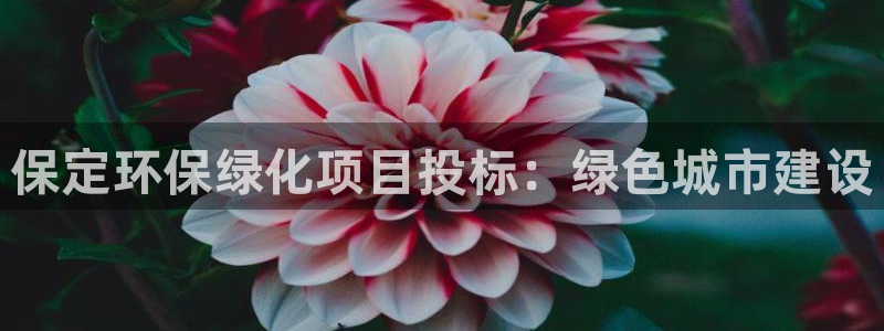 亿万先生换网址了吗知乎：保定环保绿化项目投标：绿色城市建设