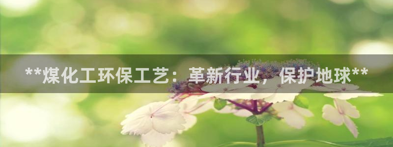 亿万先生mr网址：**煤化工环保工艺：革新行业，保护地球**