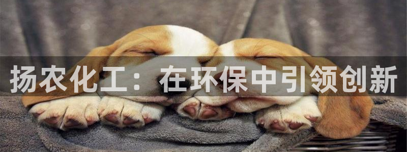 亿万购平台最新消息：扬农化工：在环保中引领创新