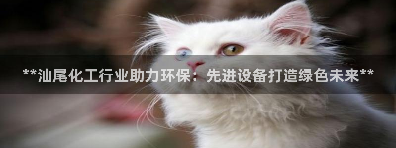 亿万先生 菲律宾：**汕尾化工行业助力环保：先进设备打造绿色未来**