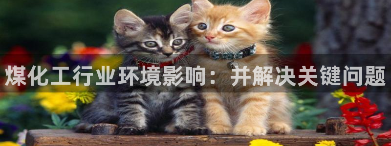 亿万手游官网：煤化工行业环境影响：并解决关键问题