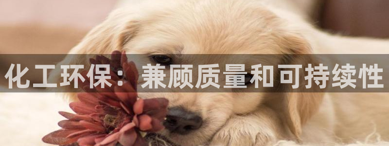 亿万下载徐家汇朋友圈说说：化工环保：兼顾质量和可持续性