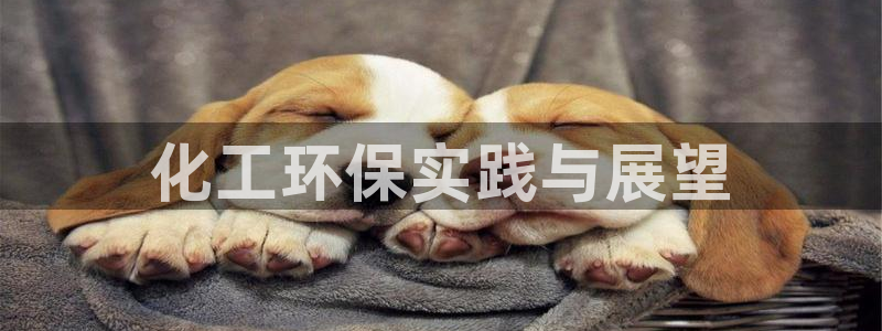 亿万先生官方网站客户端下载安装最新版：化工环保实践与展望