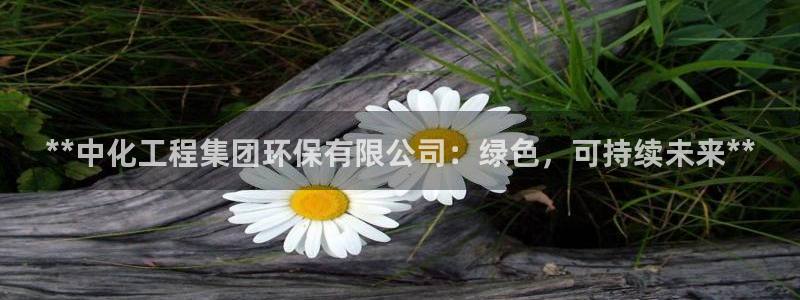 亿万先生客户端官网首页：**中化工程集团环保有限公司：绿色，可持续未来**