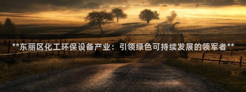 亿万先生手机版客户端下载安装：**东丽区化工环保设备产业：引领绿色可持续发展的领军者**