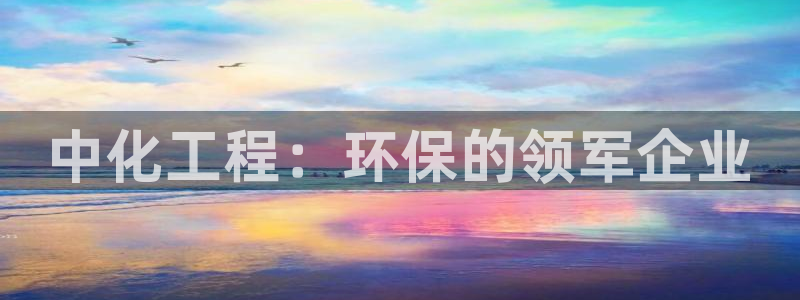官方网站下载亿万人生：中化工程：环保的领军企业